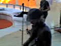 tudo � poss�vel - nxzero: alem de mim 3