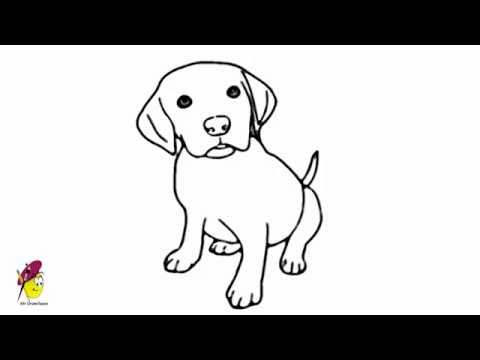 how to easy draw animals