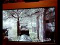 videos de MY zOOm triger for xbox live