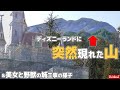 ディズニーランドに突然現れた山って何？ 2019年12月12日のパークの様子レポート