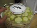 Food Dehydrator Review by Max
