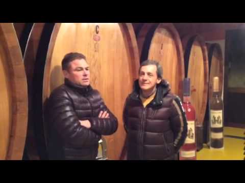 Immagine anteprima YouTube