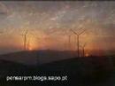 Alqueid�o com Futuro
