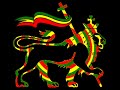 Habakuk rasta trans Habakuk rasta trans