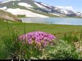 Scenic Persia Iran - Free the Hikers!