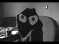videos de Re: P*SSY DON'T RUN ME!!! Yo Fellaaaas Let's Be Ouuuuut!!!!