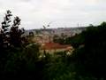 Beer in Prag