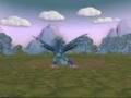videos de Bird phenomenon