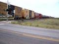 Train In The Desert