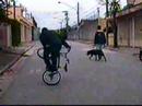 Leandro
