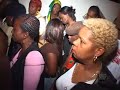 Dimex Stookie Party PT4