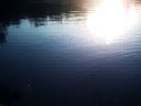 minnesota fishing