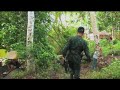 In Focus: Sulu Gun Culture