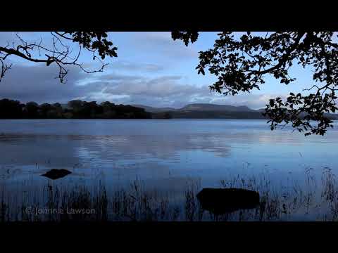 mindfulness and stress reduction