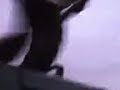 street jump