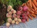 Capitol City Farmers\
