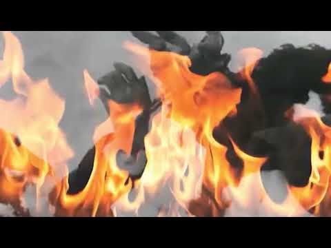 Наследники Великой Победы. 28 выпуск. 01.10.25