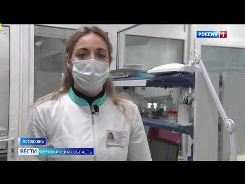 В Астраханской области Управлением Россельхознадзора проконтролирован ввоз более 350 тонн продовольственной фасоли