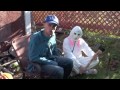 Newfoundlander vs Halloween