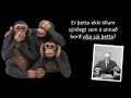 Íslenska spilaborgin Íslenska spilaborgin