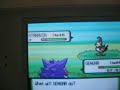 Shiny Staravia(at Chain 4)