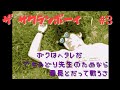 さくらん動画6