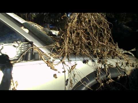 how to remove zr2 blazer fender flares