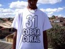 videos de PAPO -  31 COBRA CORAL        (Prod. Dj Josph Bh)