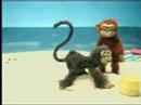 anyone familiar