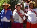 http://www.laraos.com