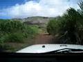 Rough Ride