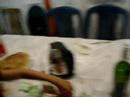Sukot - after the meal