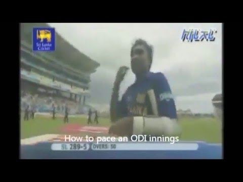 Tribute to Mahela