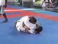 Gilson Junior x Alberto Ramos by X-COMBAT