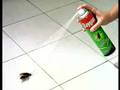 Publicidad baygon - Elefante miedoso