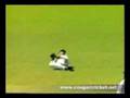 Top 10 CRICKET dismissals!!!