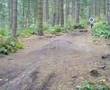 caudwell dirt jumps