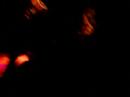 Mi A Mi 2007 - Offlaga Disco Pax - 