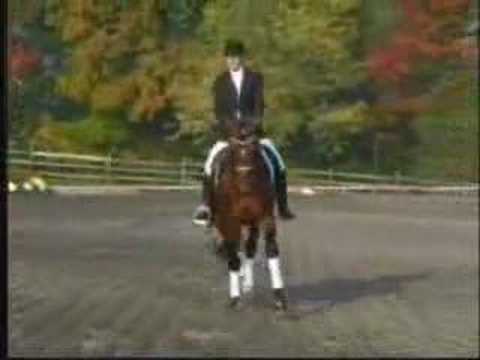 The Sport of Equestrianism