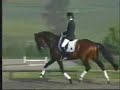 The Sport of Equestrianism