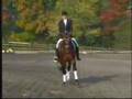 The Sport of Equestrianism