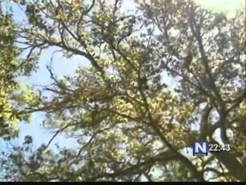 descubrebajacal - El periodista Joél Galeana Sánchez llevó a los televidentes por un extraordinario recorrido por la Ruta del Vino de Baja California. (Abril 2011)