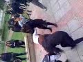 b15 vs poli minas de lautaro b15 vs poli minas de lautaro