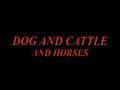 BIG MALE KANGAL MASTIFF BY DEER, DOG AND CRANE, CATTL...