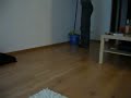 Skok tygrysa