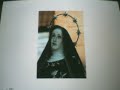 Los Siete dolores de Maria Meditados