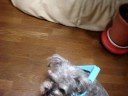 ????????????????????