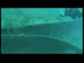 Florida Keys Scuba Diving - The Alexander Barge Pt. 2