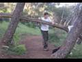 Afula - Kinneret