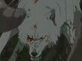 Wolf\